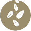 Granos de sésamo y productos a base de granos de sésamo